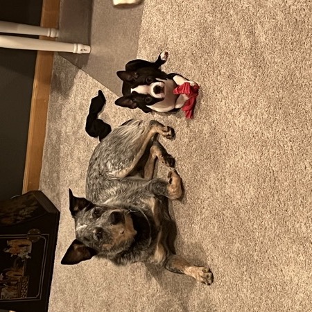Indy & Nola